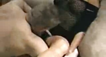 danny sex Kimm kim kim được fucked bởi một người lạ và bị phim set gai dep ướt với kiêm.