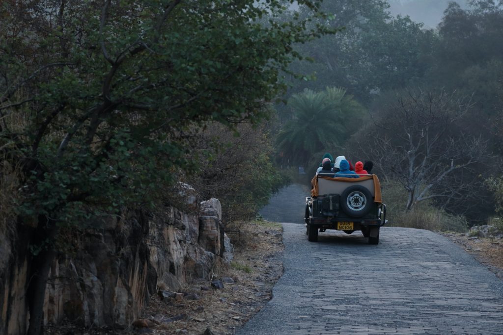 Ranthambore, Sariska: Book safari the right way