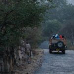 Ranthambore, Sariska: Book safari the right way
