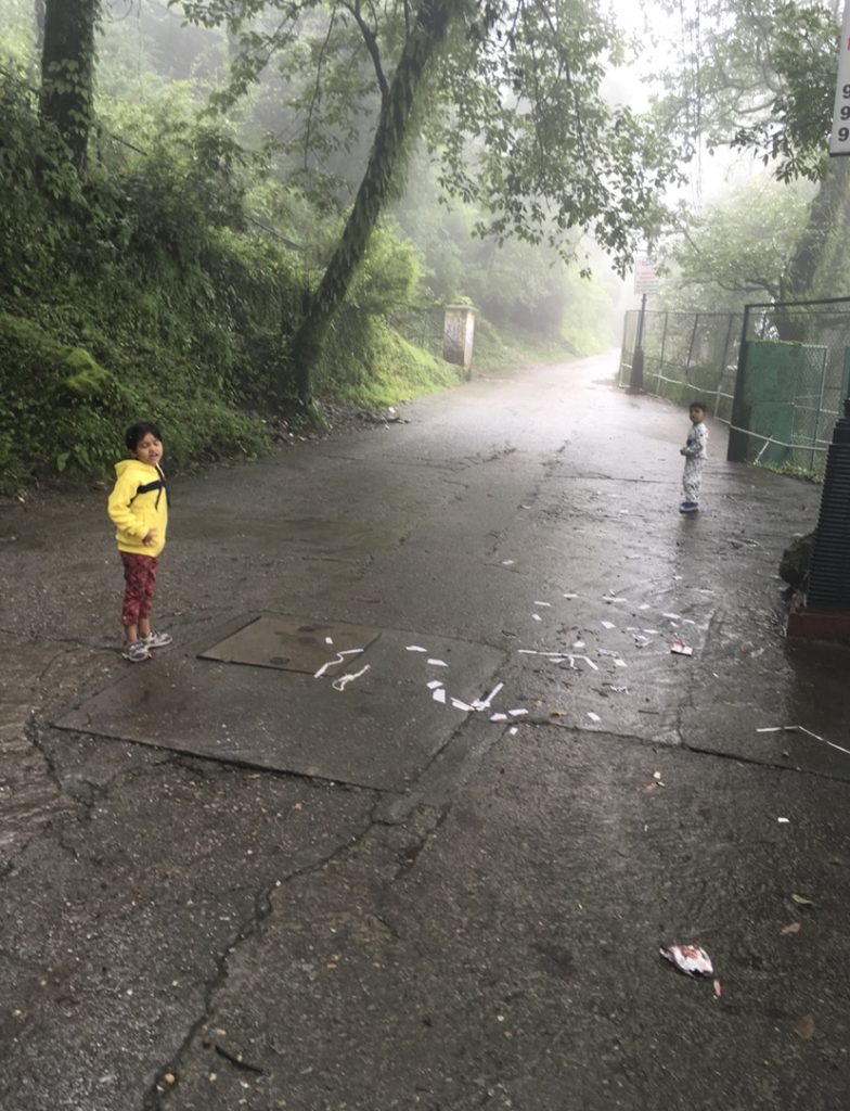 Mussoorie: Road from Chandigarh to the hills (2) 8 Kids really liked Camel back road