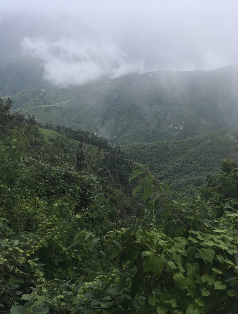 Mussoorie: Road from Chandigarh to the hills (2) 10 View from camel back road: mussoorie